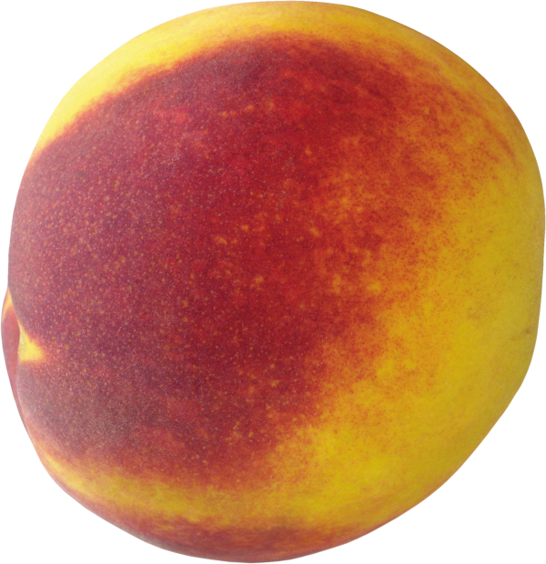Peach PNG Free Download 27