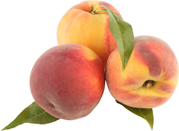 Peach PNG Free Download 39