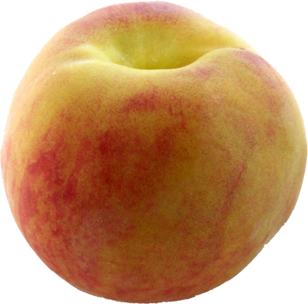 Peach PNG Free Download 42