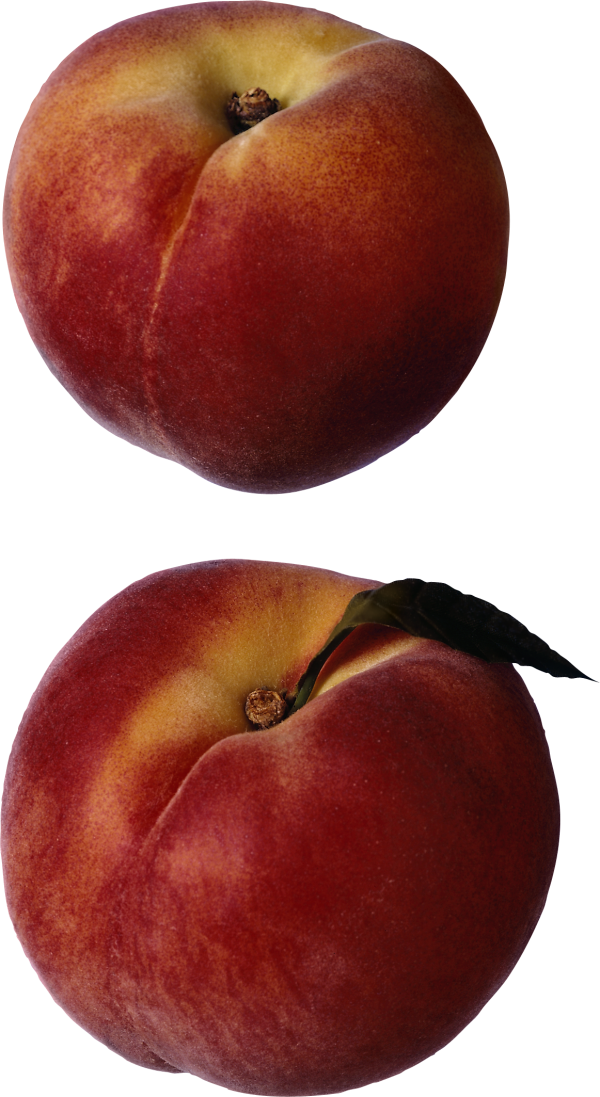 Peach PNG Free Download 51