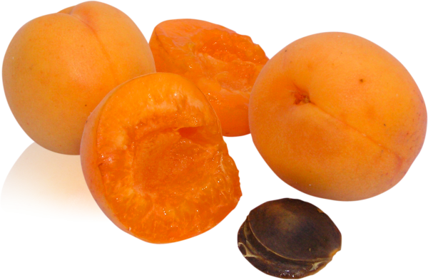 Peach PNG Free Download 54