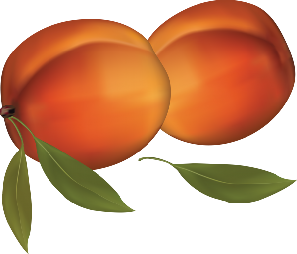 Peach PNG Free Download 57