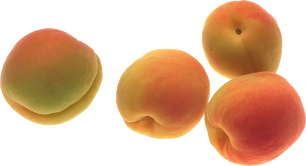 Peach PNG Free Download 61