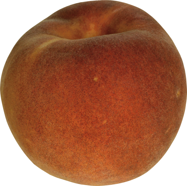 Peach PNG Free Download 63