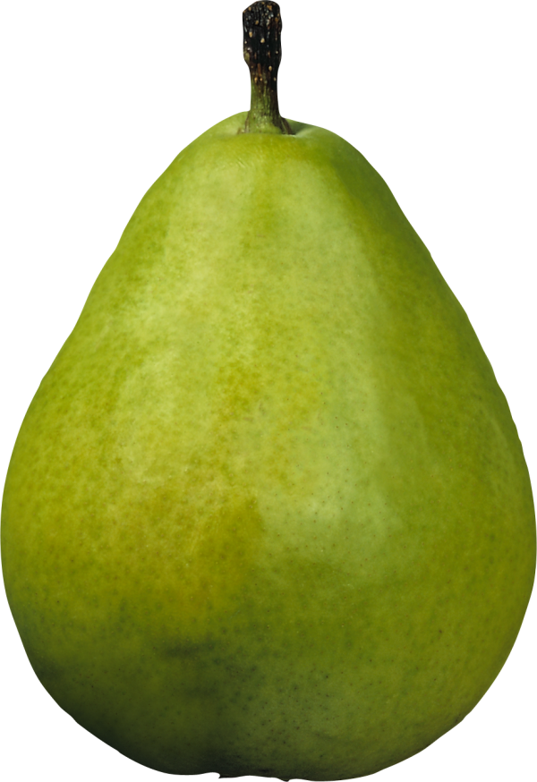 Pear PNG Free Download 36