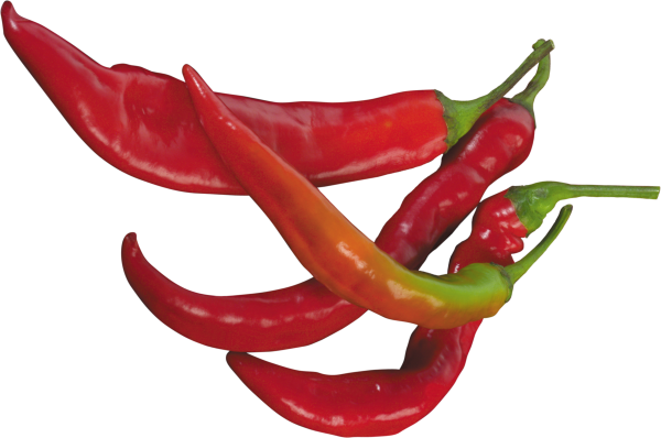 pepper_PNG3235