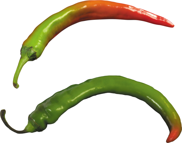 pepper_PNG3237