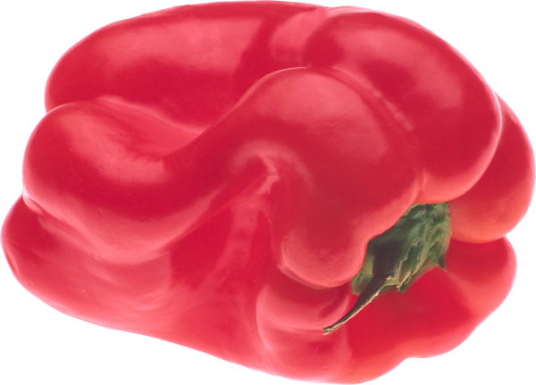 pepper_PNG3241