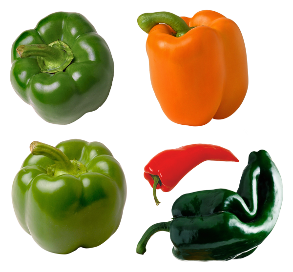 pepper_PNG3251