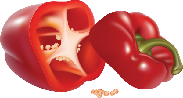 pepper_PNG3252