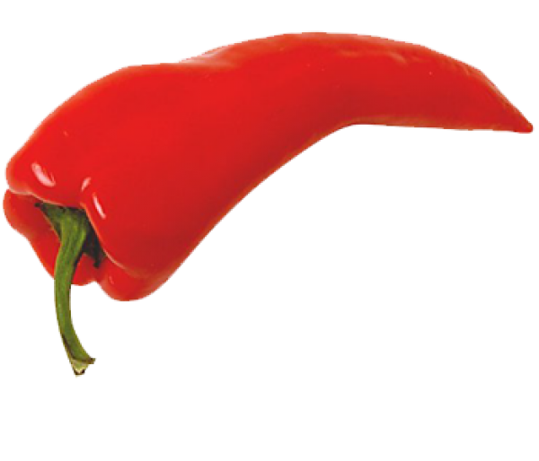 pepper_PNG3267