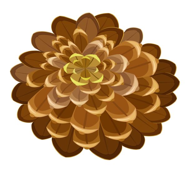 Pine Cone Drawn Image