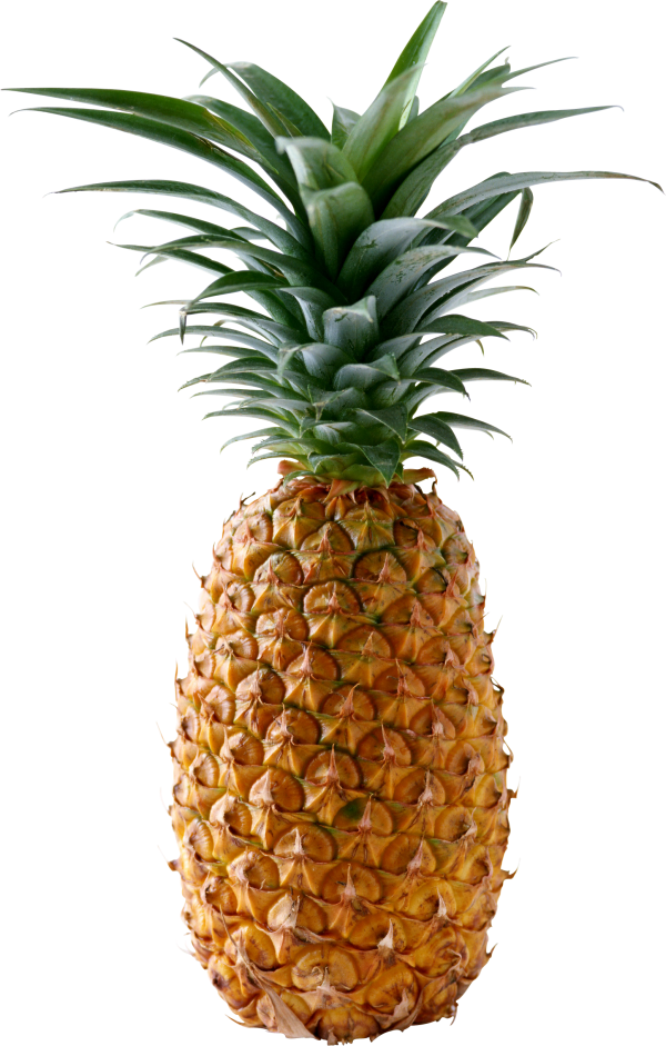 Pineapple PNG Free Download 16