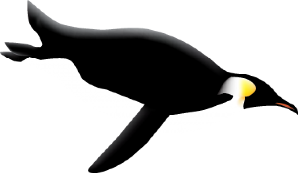 Pinguin PNG Free Download 6
