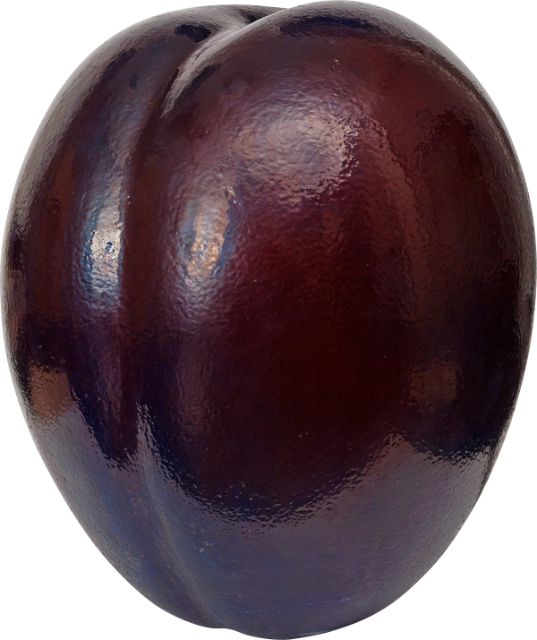 Plum PNG Free Download 1