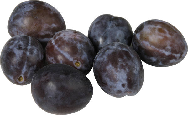 Plum PNG Free Download 10
