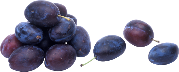 Plum PNG Free Download 11