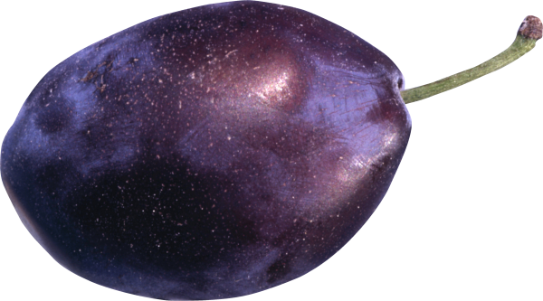 Plum PNG Free Download 12