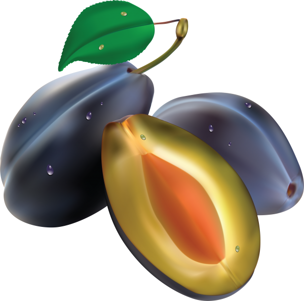 Plum PNG Free Download 13