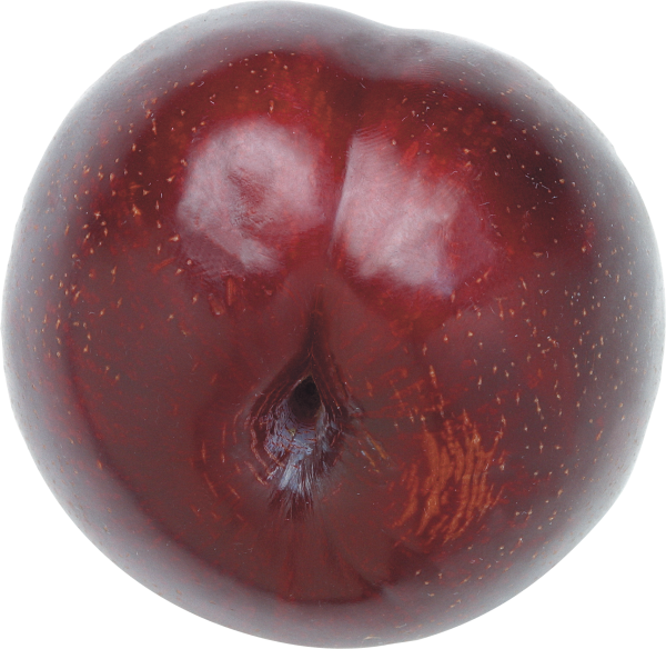 Plum PNG Free Download 14