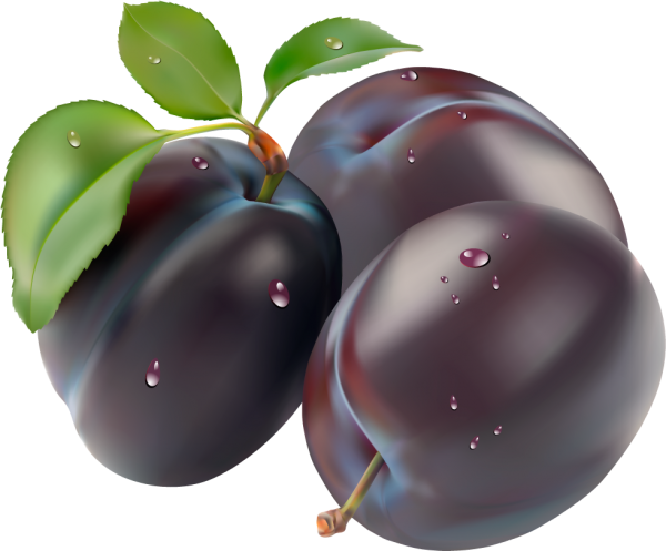 Plum PNG Free Download 15