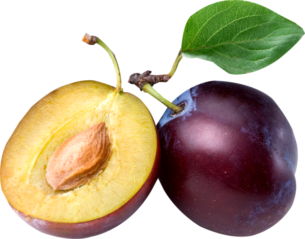 Plum PNG Free Download 19