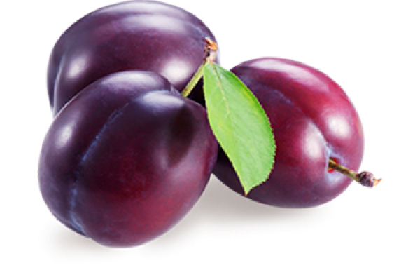 Plum PNG Free Download 20