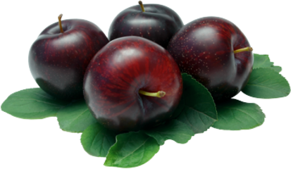 Plum PNG Free Download 21