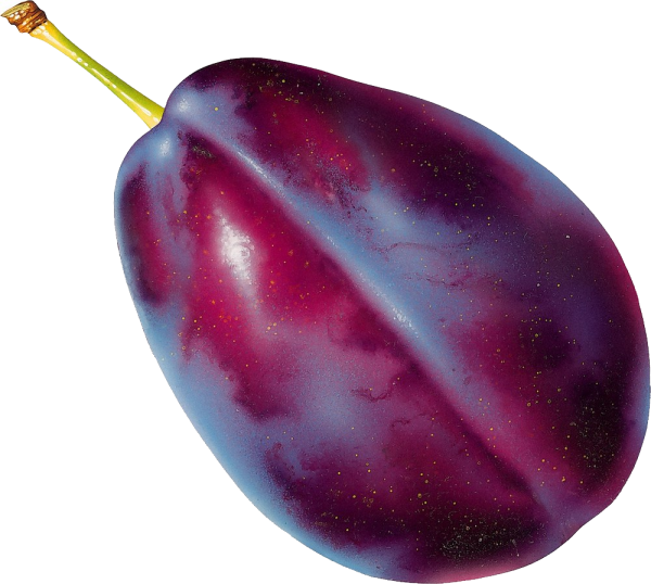 Plum PNG Free Download 22