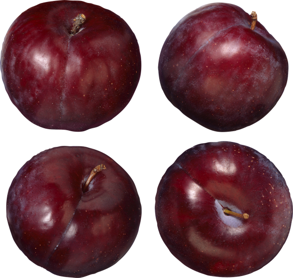Plum PNG Free Download 24