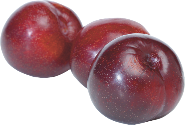 Plum PNG Free Download 26