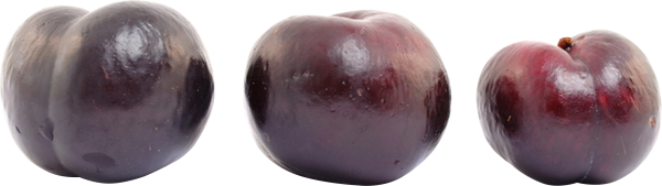 Plum PNG Free Download 27