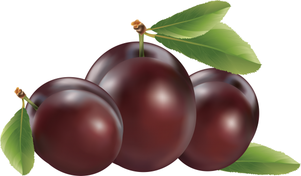 Plum PNG Free Download 4