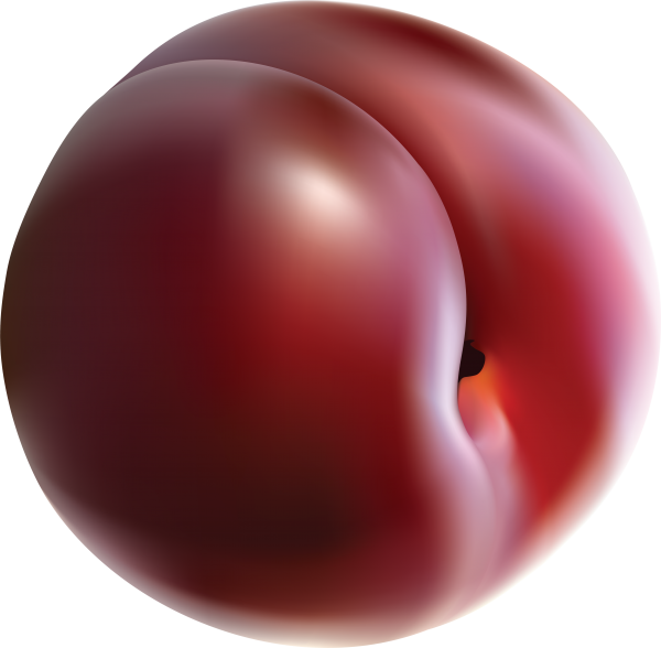Plum PNG Free Download 5