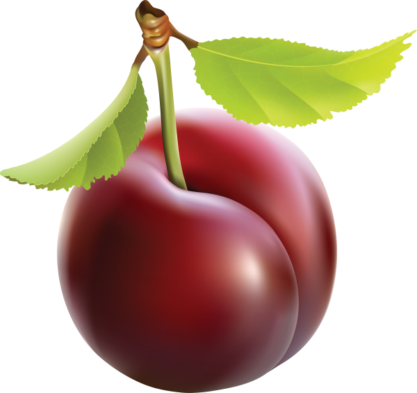 Plum PNG Free Download 8