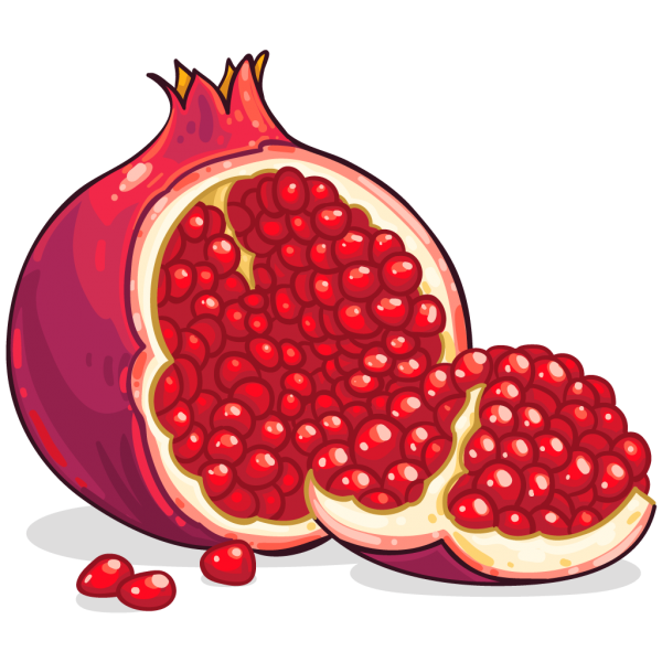 Pomegranate PNG Free Download 3