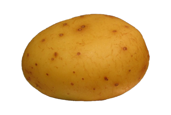 Potato PNG Free Download 12