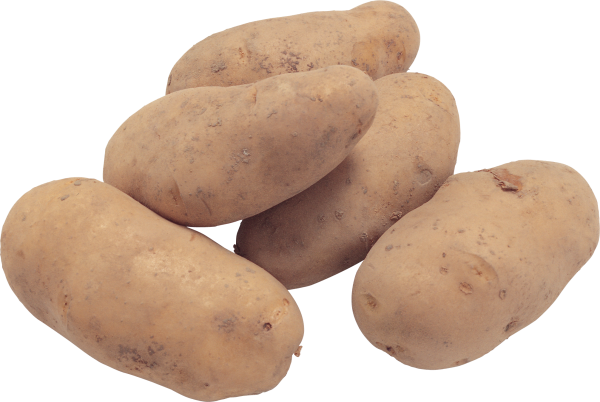 Potato PNG Free Download 13
