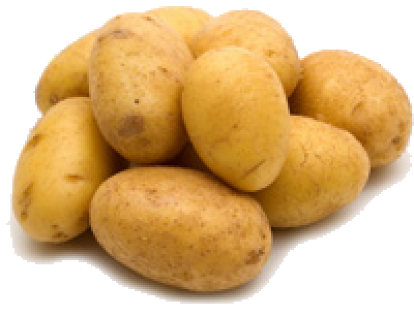 Potato PNG Free Download 15