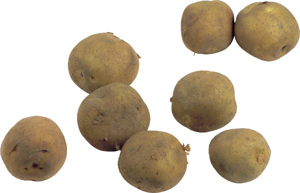 Potato PNG Free Download 2