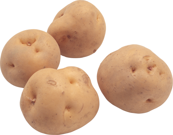 Potato PNG Free Download 33