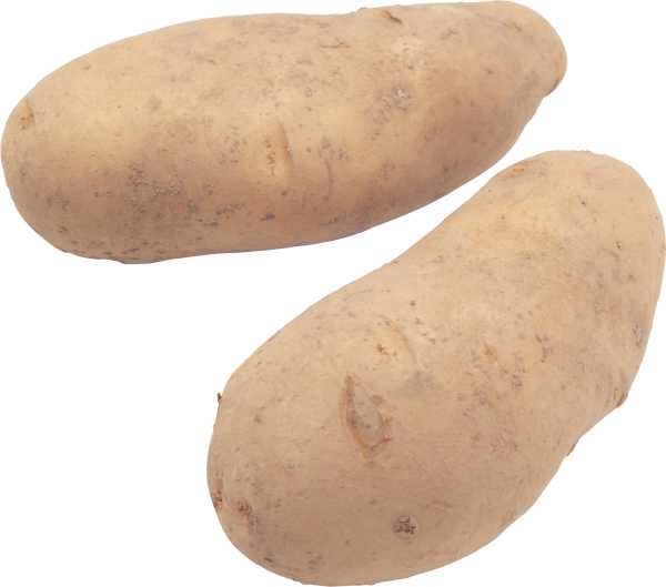 Potato PNG Free Download 34