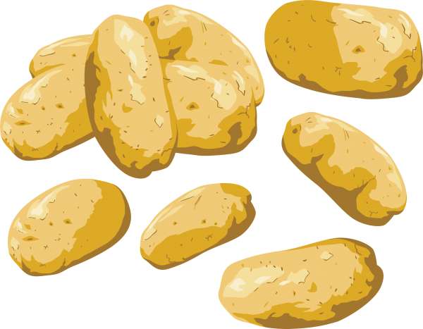 Potato PNG Free Download 38