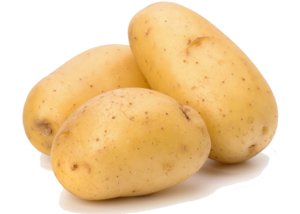 Potato PNG Free Download 4