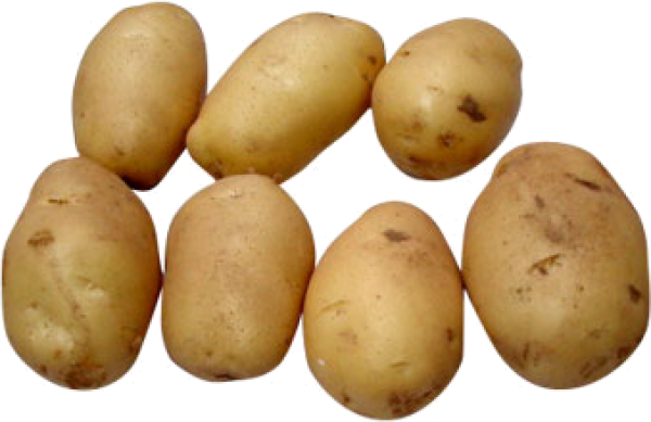 Potato PNG Free Download 9