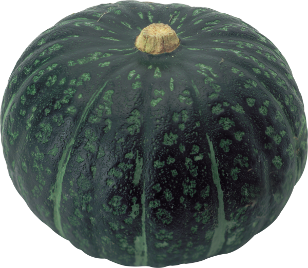 Pumpkin PNG Free Download 10