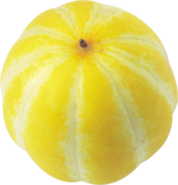 Pumpkin PNG Free Download 12