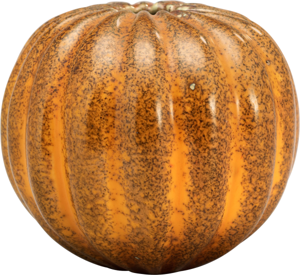Pumpkin PNG Free Download 13