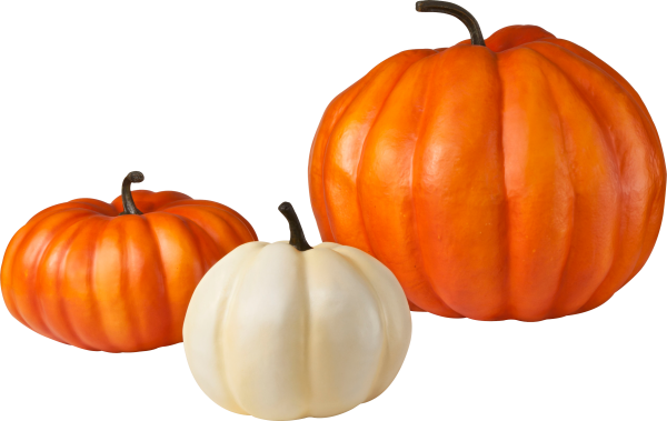 Pumpkin PNG Free Download 14