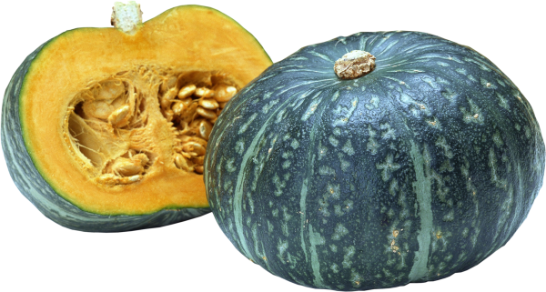 Pumpkin PNG Free Download 2